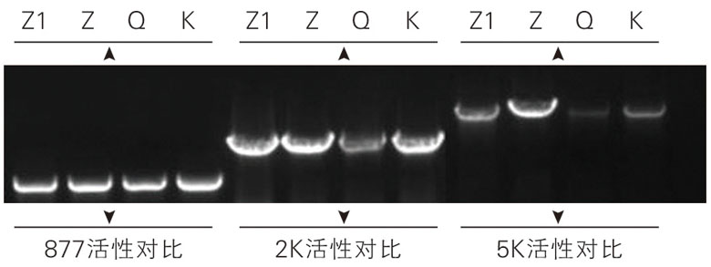 ZT201圖1.jpg