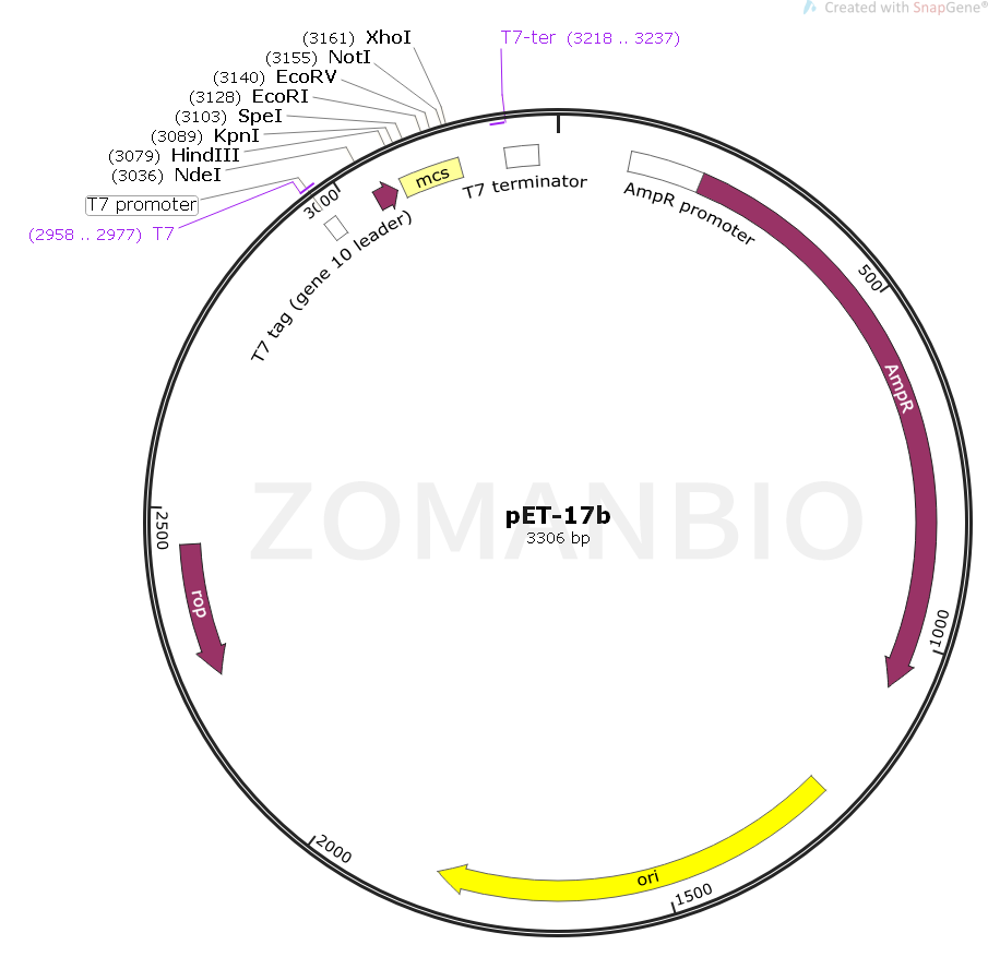 ZK148pET-17b.png