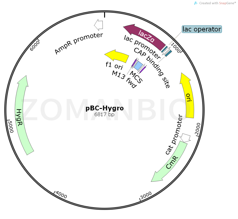 ZK1070pBC-Hygro.png