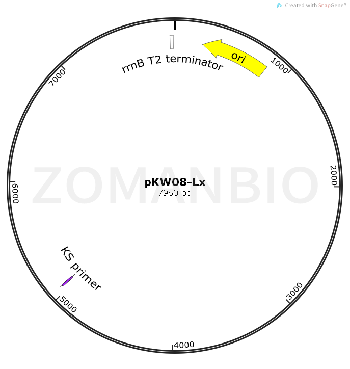 ZK1094pKW08-Lx.png