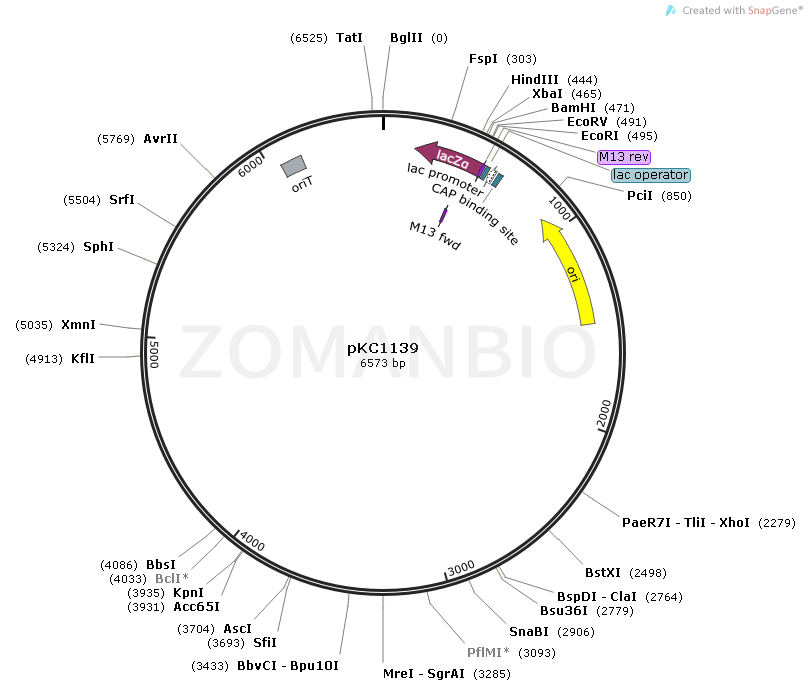 ZK1644 pKC1139.png