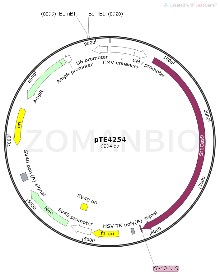 ZK1821 pTE4254.png