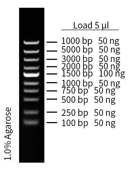 ZM108-1.png