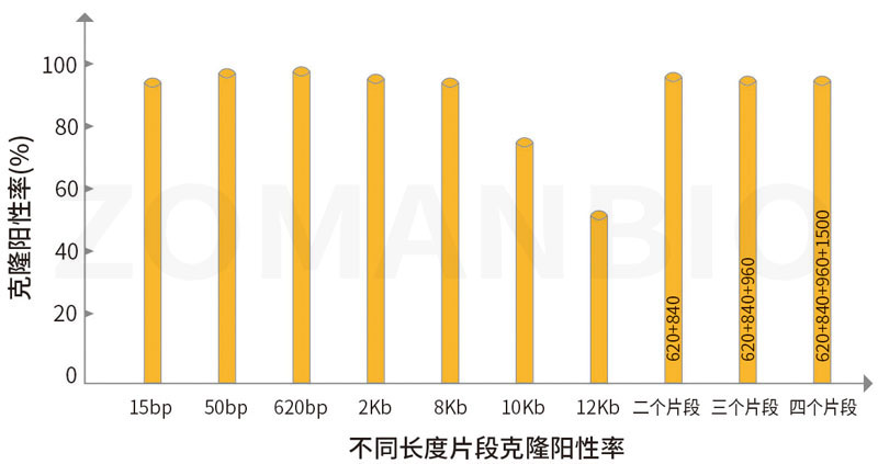 ZC231無(wú)縫克隆實(shí)驗(yàn)數(shù)據(jù)圖.jpg